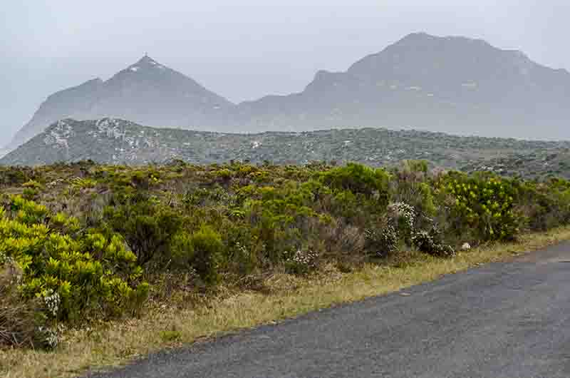 46 - Sudafrica - parque nacional Table Mountain - panoramica